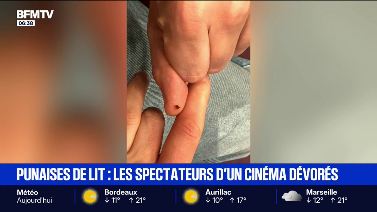 "Sur les deux premiers rangs, c'était l'hécatombe": des spectateurs dévorés par des punaises de lit à la Cinémathèque de Paris