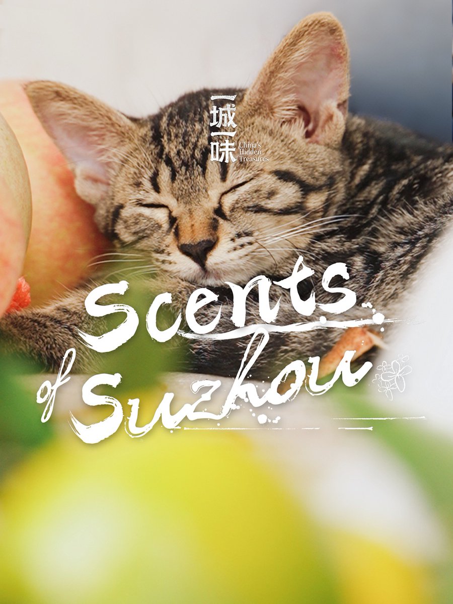 In Suzhou, romance isn't just written, it's in the air. People don't chase the seasons, they wait for them, for tea to steep, for flowers to bloom, and for incense to soften the breeze. Life here isn't measured in days, but in scents. #ChinasHiddenTreasures
