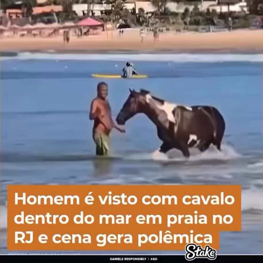 qual sua opinião sobre?