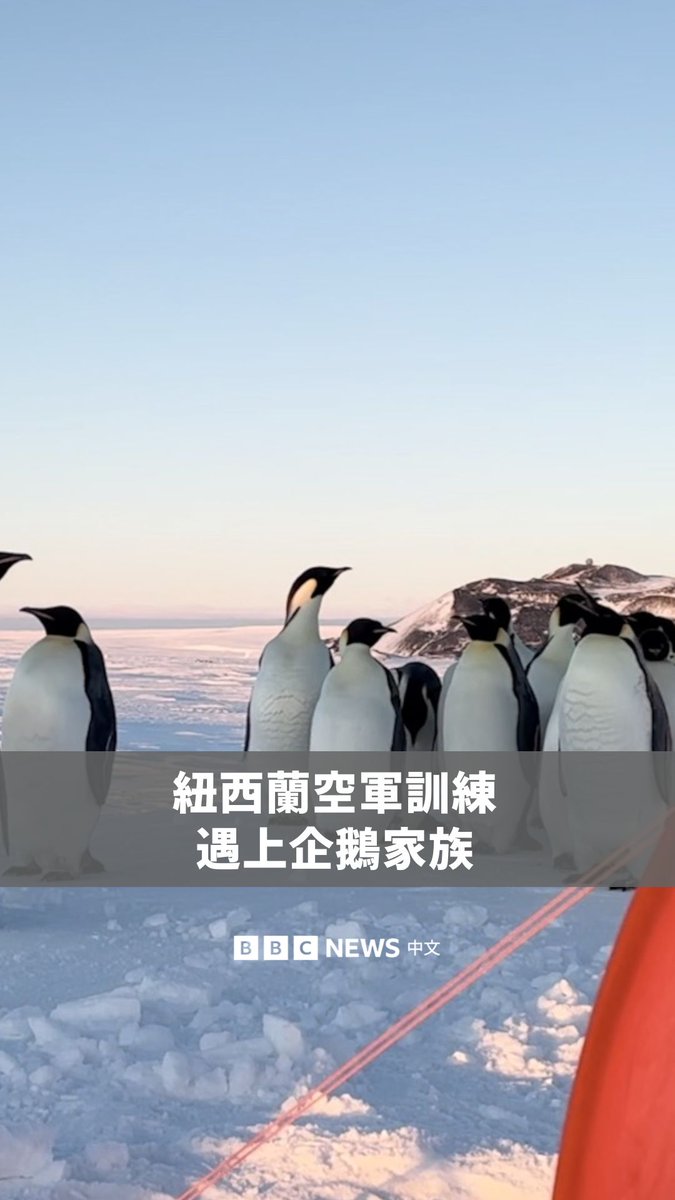 新西兰军事人员正在进行一年一度的极端寒冷生存训练,却意外遇见一群好奇的企鹅。 若有幸遇见南极企鹅,相关单位建议给予它们足够的空间,保持至少五米的距离,切勿阻碍它们前往海洋的路径。