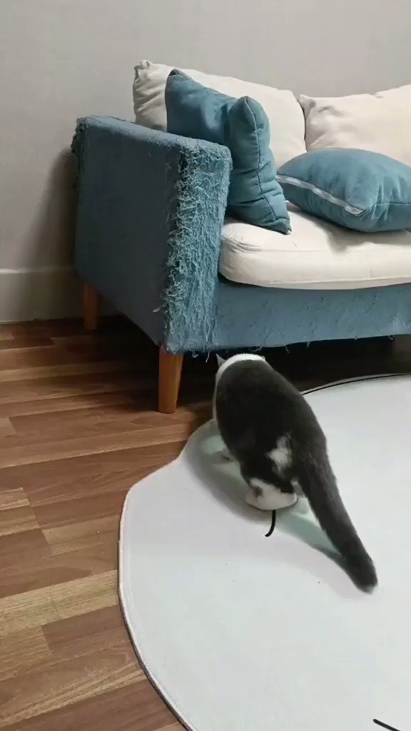 Koltuk takımına bak ba yıl dım 😅