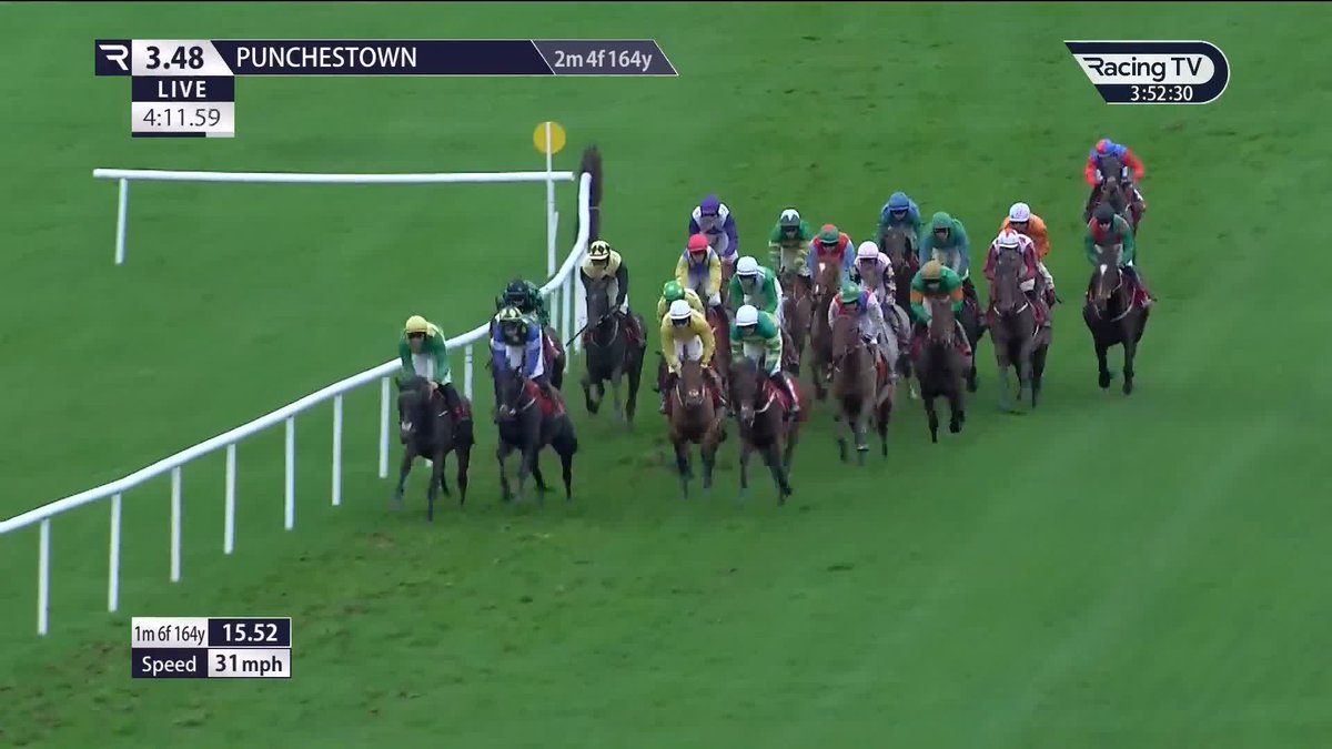 When the commentator reels off the names of 20 racehorses in under 19 seconds 😆 A glass of water for Jerry someone, please! 🥤