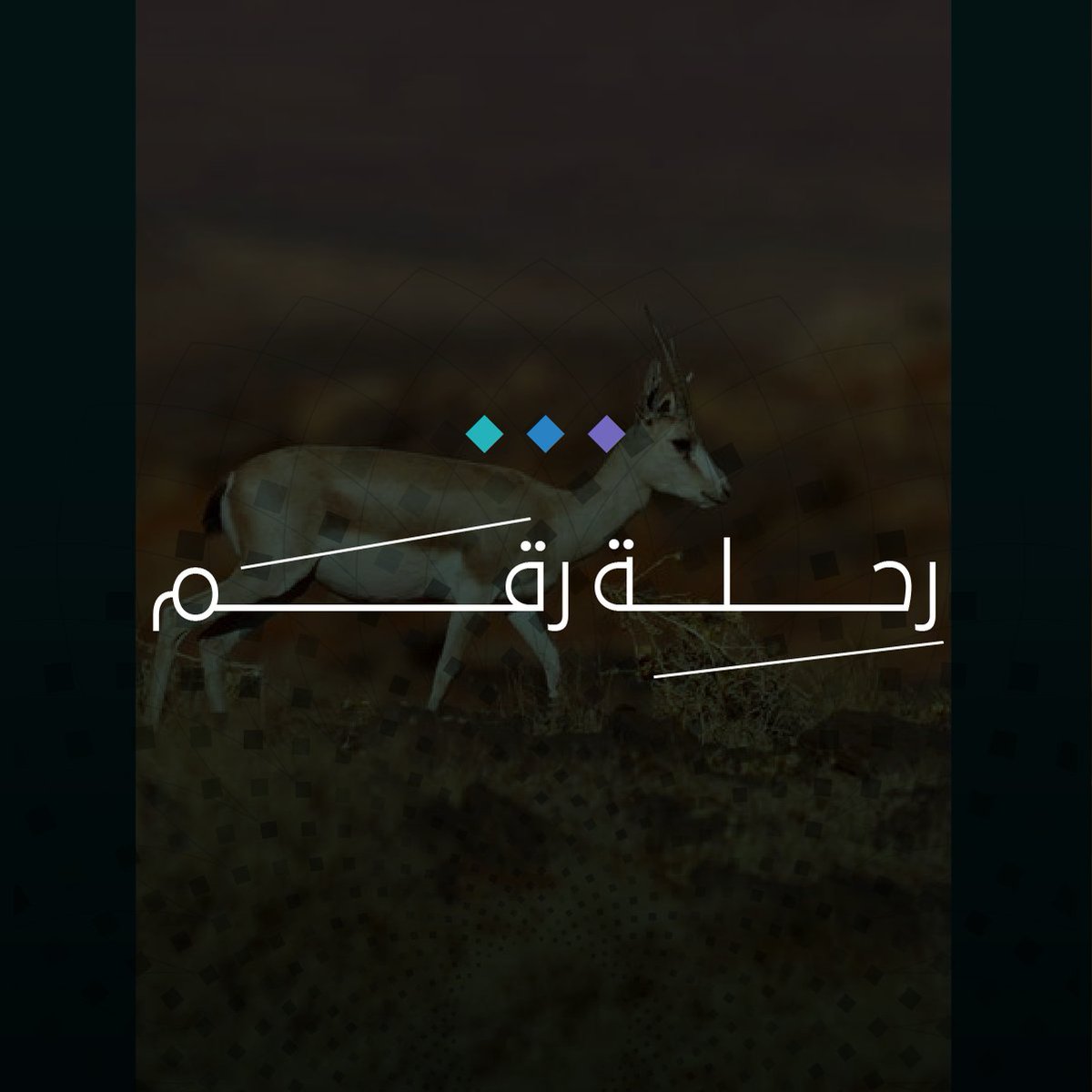 كل رقم له دلالة على هدف طموح، وهو وطن متوازن بين الحضارة والطبيعة.