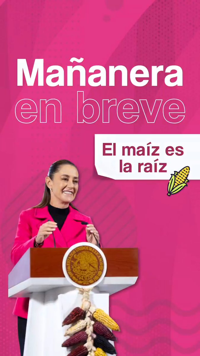 La #MañaneraEnBreve de la presidenta Claudia Sheinbaum Pardo: 🌽 Plan Nacional de Maíz Nativo. 🏡 En tiempo récord, atención a familias afectadas por fuertes lluvias. 🤝 Respaldo del pueblo al movimiento de transformación.