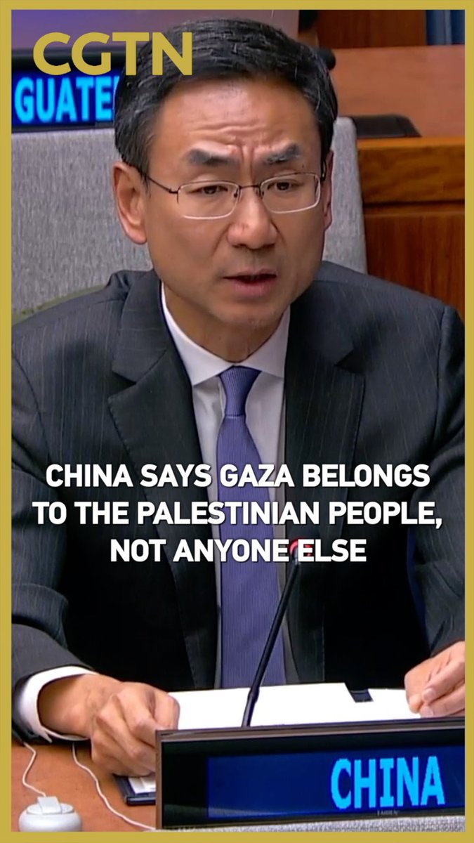 Watch: #China says #Gaza belongs to Palestinians, not anyone else
