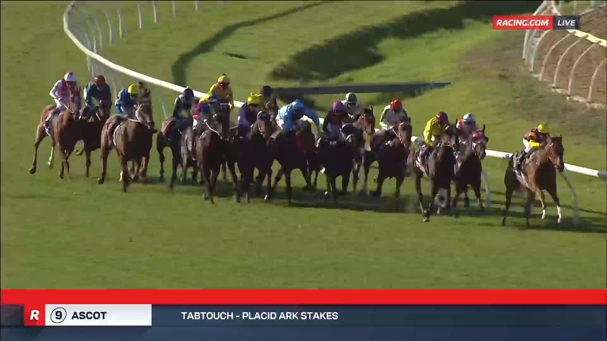 Placid Arc Stakes I Luana Miss She's a special filly ⭐️ Luana Miss finishes like a shot out of a gun barrel to win the Placid Arc Stakes 👏 📺 Ch. 78/68, Foxtel 529, Kayo or via our app