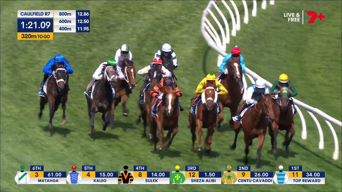 🇯🇵 ディープインパクトの孫が豪G2を圧勝! 🇦🇺 3歳馬のマイルG2・サンダウンギニー。2頭しかいない牝馬の一頭、サクソンウォリアー産駒のシーザアリバイが5.75馬身差の圧勝。前走に続いて重賞連勝に。 2着のタグラインはタガロア産駒(父ロードカナロア)。 #競馬 #海外競馬