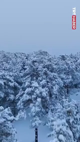 Türkiye'ye beklenen kar geldi.