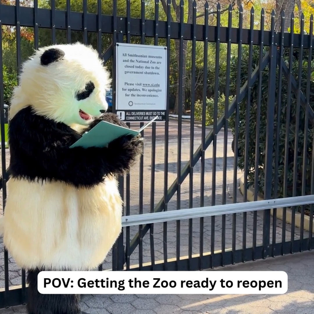 🐼🧹💪 The reopening glow-up no one asked for, but everyone needs. We are open today and excited to welcome you back! Get your 🎟️ free entry passes 🎟️ at