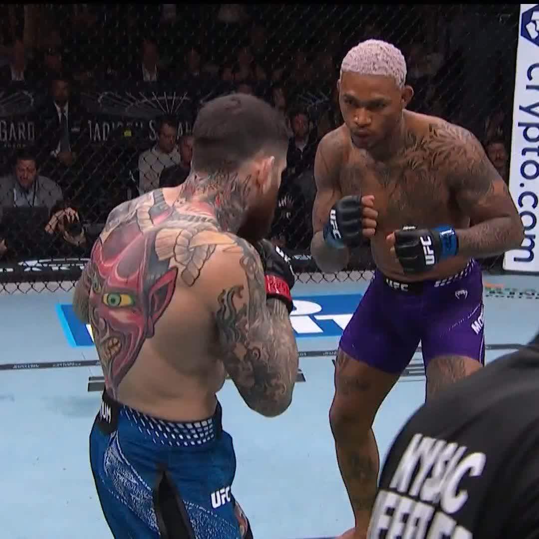 Grítalo Ecuador 🇪🇨 Michael🕷Morales🕸 hace brutal nocaut 🫨 #VeChain #UFC322