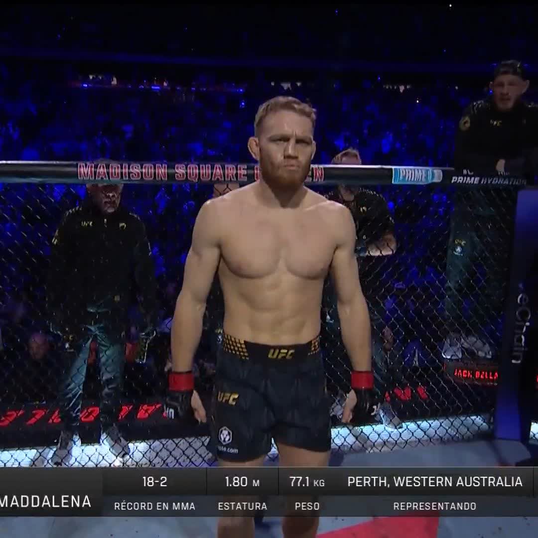 IIIIIITTTS TIMEEEEEEE ‼️ #VeChain #UFC322