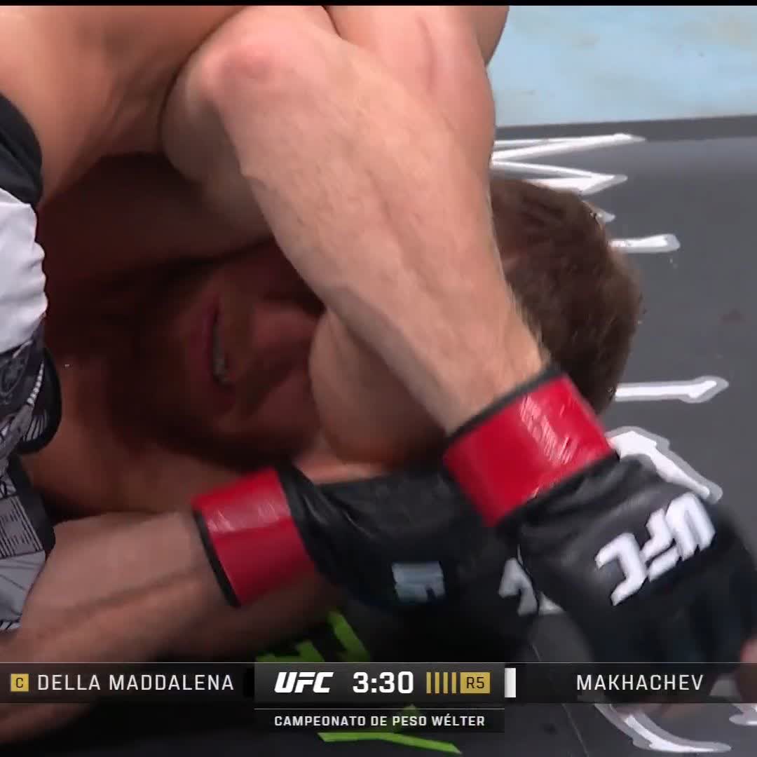 Islam es de otro mundo 🤯 #VeChain #UFC322
