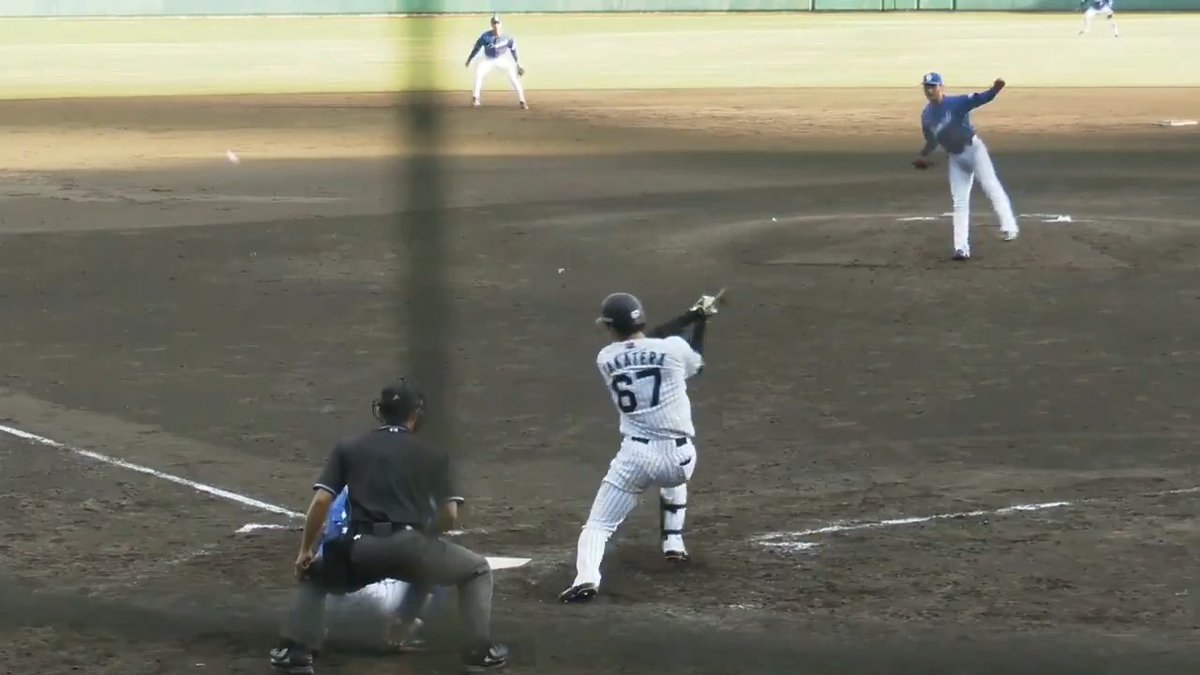 【安芸】 巧みなバット捌きで本日2安打をマークした髙寺選手! #hanshin #虎テレ #阪神タイガース #秋季キャンプ 虎テレでは秋季キャンプをライブ配信