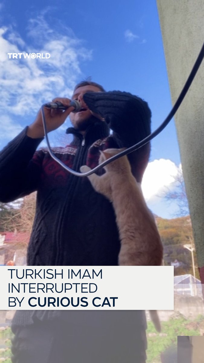Turkish imam Furkan Abay was delivering the adhan, the Islamic call to prayer, when an unexpected furry visitor decided to join him