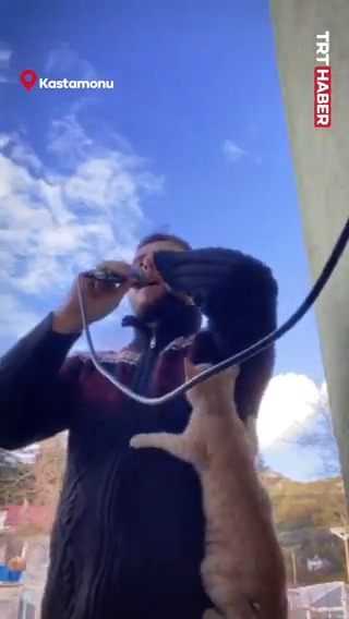 🐈 Kastamonu'da yaramaz kedi ezan okuyan imamın omzuna tırmandı.