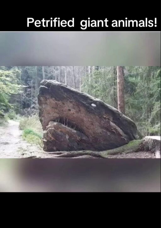 Once you see it, you can never unsee it!