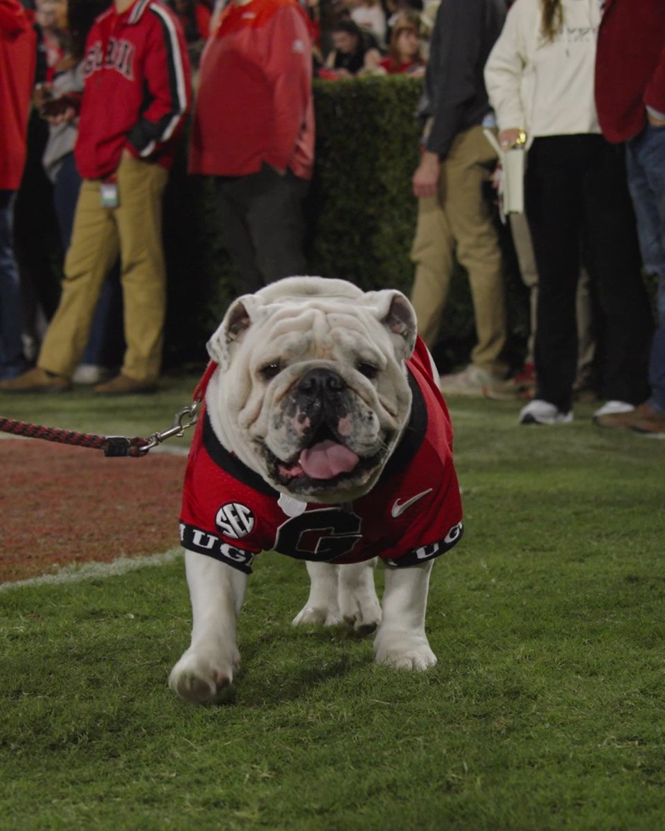 Best fans? Best fans. #GoDawgs