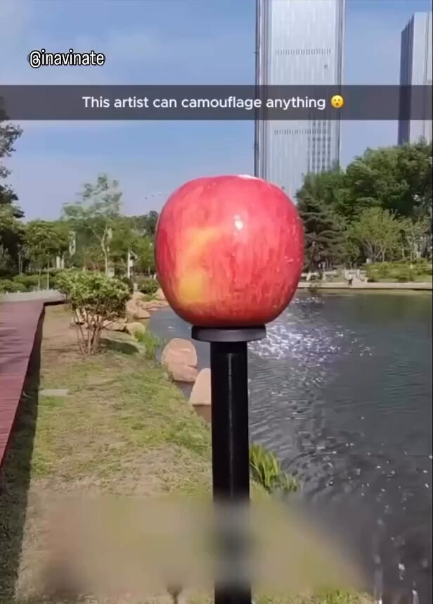 This artist has mastered the skill of camouflage