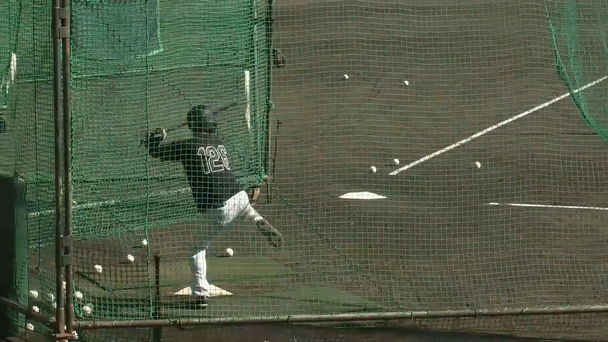 【安芸】 打撃力アップで支配下を勝ち取りたい福島圭音選手のフリーバッティング! #hanshin #虎テレ #阪神タイガース #秋季キャンプ 虎テレでは秋季キャンプをライブ配信