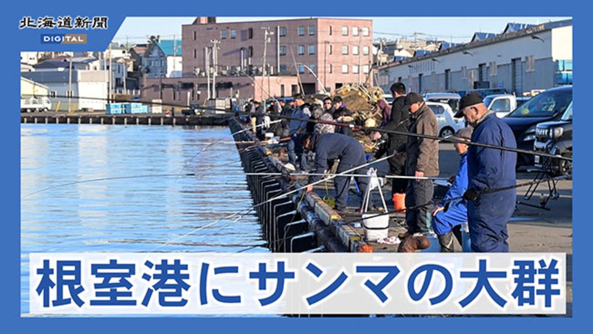 根室港にサンマ大群 釣り人殺到 漁場は南下中 謎の入れ食い状態に漁業者は不思議がっています 記事👉
