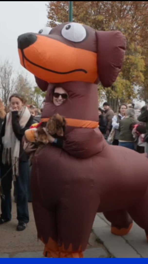 Quelque 2.500 teckels ont défilé dans les rues de la capitale pour la "Paris Sausage Walk"