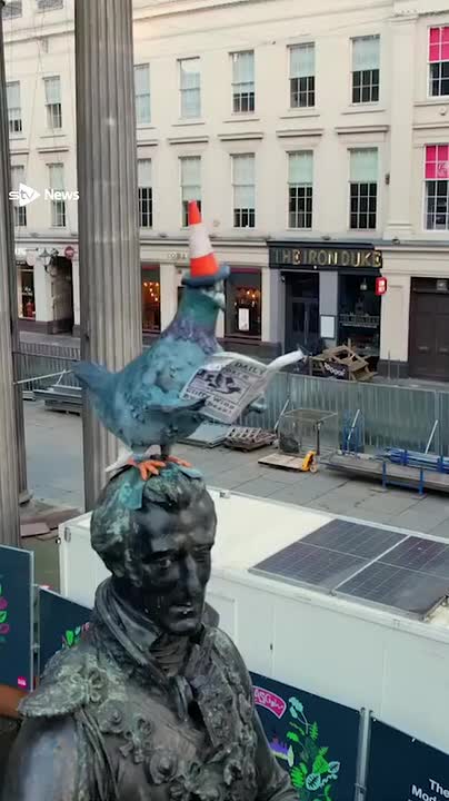 The famous traffic cone which sits on top of the Duke of Wellington statue in Glasgow’s city centre has been swapped for a small statue of a pigeon reading the paper.