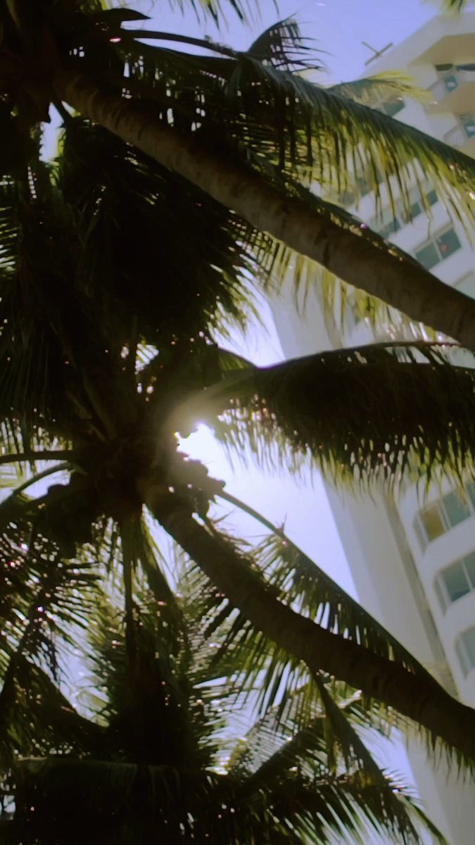 🏝️Art Basel Miami Beach is just 2️⃣ weeks away! Ready to plan your trip? Head to our website for... 🎟️ The online ticket shop 🗺️ Visitor info and opening hours ✈️ Travel tips and hotel recommendations 🗓️ Events programming 🗣️ Artist interviews and articles about the show ...and more. Link below 👇