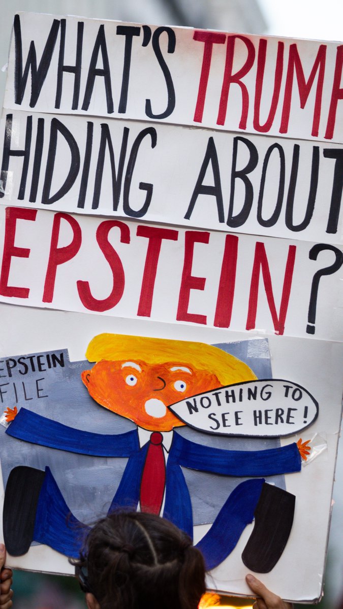 In a dramatic U-turn, US President Donald Trump has called for the release of all documents on the late sex offender Jeffrey Epstein. Why the sudden shift?