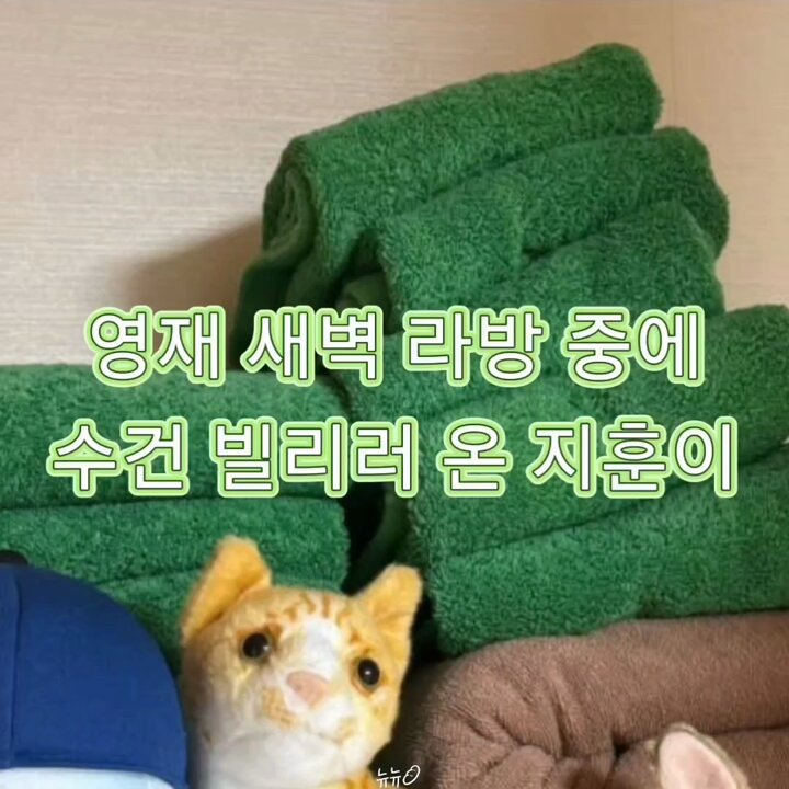 마따뛰때 지훙가 0쟤 잘때 수건 두개 서리해갔다고 그거 아직 안돌려주고 계속 잘 쓰고 있다며 고백했었는데 이제는 0쟤가 아예 공용수건 구비해놔서 새벽에도 당당하게 수건 가지러 옴