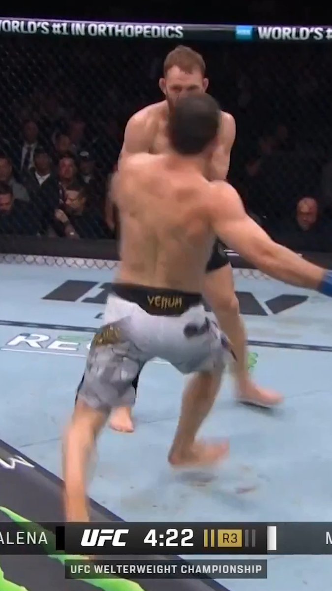 Islam Makhachev was chopping JDM's calf 🦵