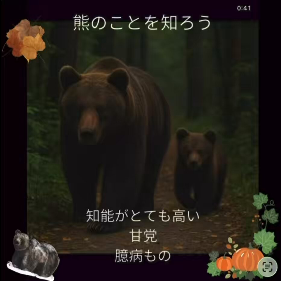 🗻🐻️🌳⛰️🐻️🌳 豊かな山を取り戻したい クマが人を襲う度にクマが悪いと叫ぶ 本当に悪いのは誰なのだろう⁉️ 山が削られ、森が切り開かれ 里と山の間の緩衝地帯が消えていく 田んぼは減反で草が生え かつて人が毎日行き来していた 中間地帯は荒れ放題になった 気温は上がり、ドングリや山の実は減り クマたちは食べるものがなくて 里に下りてくるしかない これが「クマの罪」なのだろうか これは私たち人間が長年かけて作り上げた結果 意見の対立は何も生まれない クマを憎む人も、クマを守ろうとする人も 同じ悲しいニュースを見ながら 傷つけ合っているだけ 必要なのは、感情のぶつかり合いではなく 《棲み分け》の具体的な一歩です 森を再生し 里山を人の手で丁寧に管理し 野生動物と人間の間に もう一度「境界」を取り戻すこと 森が死ねば、水も死ぬ 山が病めば、私たちも生きられない 人間が壊した自然は 自然の回復力（レジリエンス）を基本に バランスの取れた人為加入は必要です 今からでも遅くない 次の世代に クマと人が怯え無くていい世界を 恥ずかしくない形で残したい その責任を 私たちが背負わなくて 誰が背負うというのだろう…。。。。。