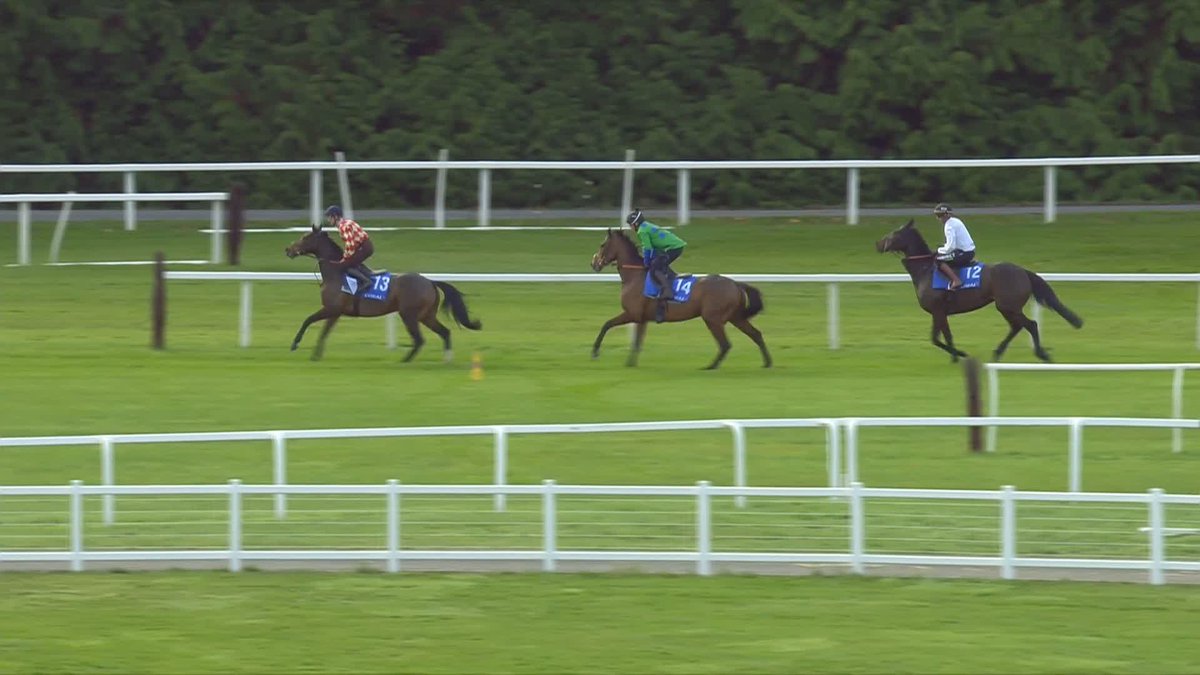 He's gone from "gone at the game" to "he's going to win 4 Champion Hurdles again" on the back of a jog around Newbury 🤣🤣 Lord have mercy 🙏