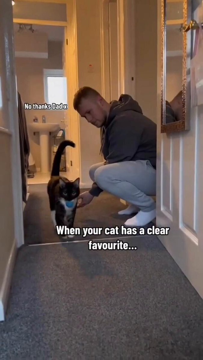 They know who the real boss at home is