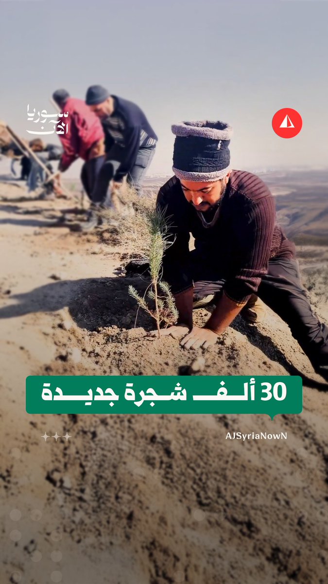 بعد الحرائق والجفاف.. حملة لزراعة 30 ألف شجرة حراجية في منطقة الغاب بريف حماة
