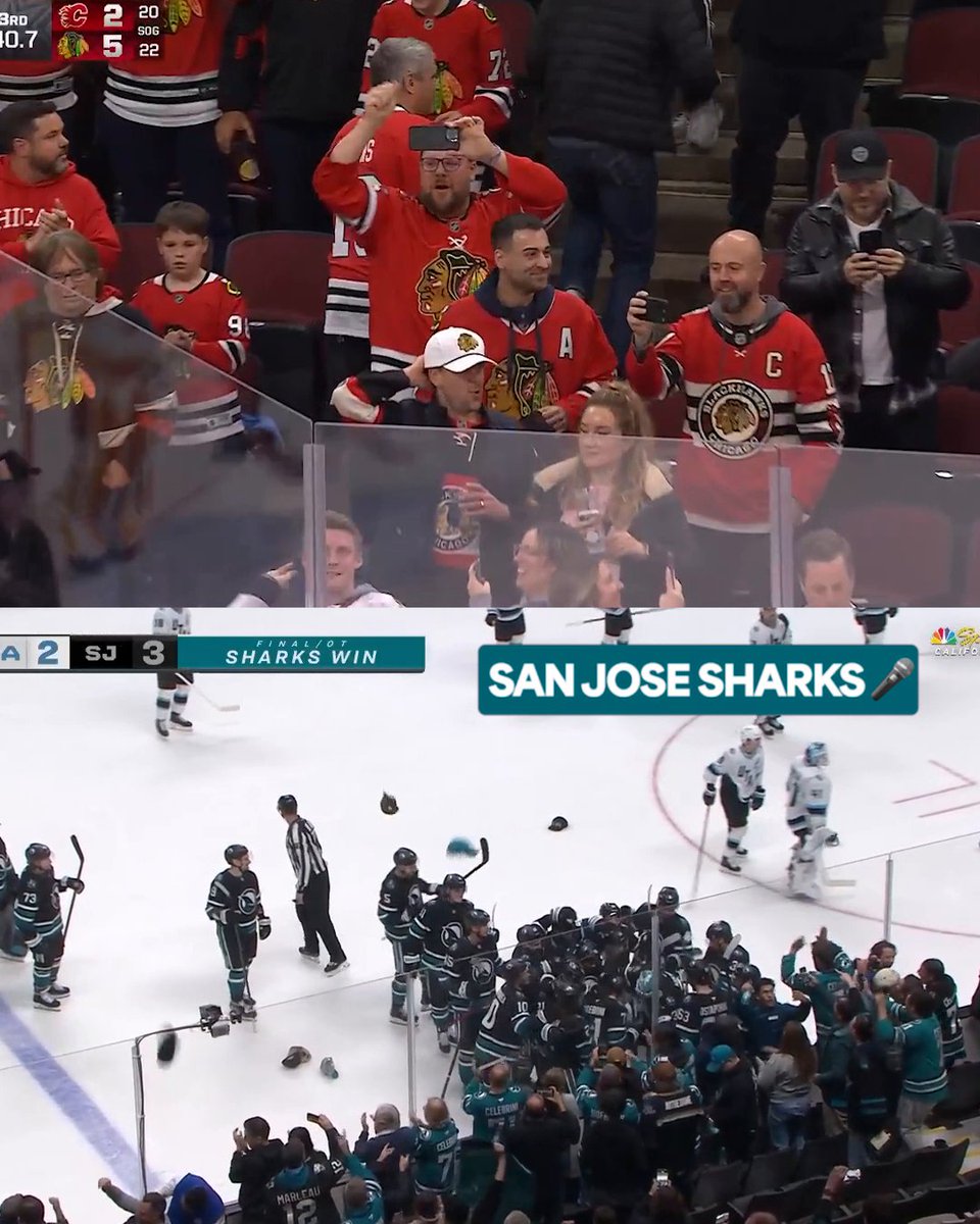 Bedard and Celebrini each score a hat trick on same night. The future of the NHL looks so damn bright 😎 Goodnight, hockey fans.