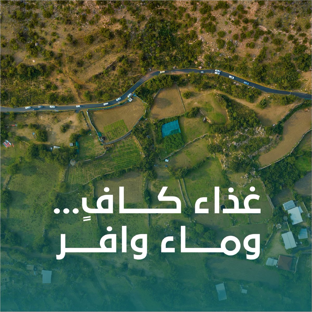 الاستدامة في السعودية ليست محصورة على الطاقة أو البيئة فقط، بل تمتد لتشمل كل الموارد، من غذاء، وماء.