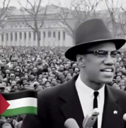 Malcolm X: “Palestine is the soul of humanity. To diminish it is to diminish humanity itself.” Do you agree with this great man?