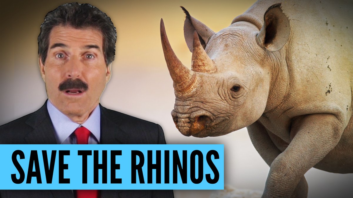 Rhinos were being poached to extinction in Africa. Then South Africa legalized selling rhino horns. Poaching FELL. Huh? Why? This 5 minute video explains: