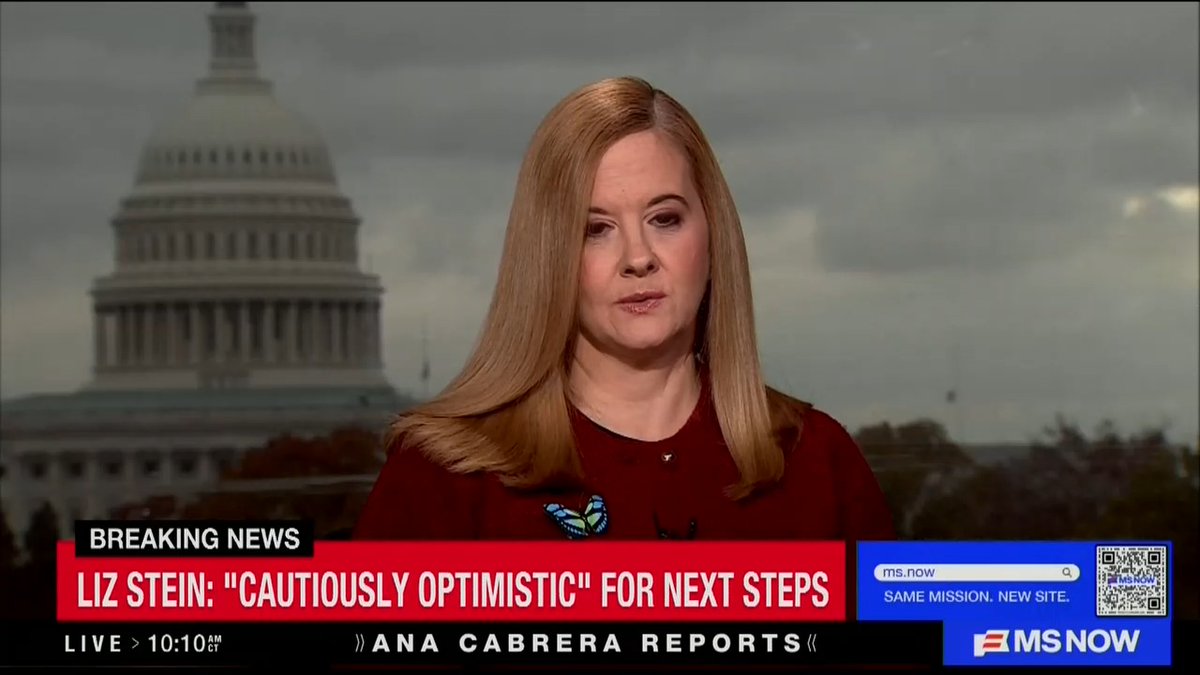 Epstein survivor: When we are looking at the men who are potentially implicated in this case, we cannot be distracted by their positions of power. They're perpetrators of sexual crimes against girls and young women. Could we as a society stand by and let a crime that happened to 1,000 victims just go unpunished? I would hope not.