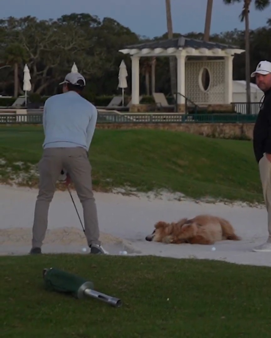 All that ruffin' around paid off for my PGA TOUR champion dad, @ACSchenk1 🐶💪 #TOURVault