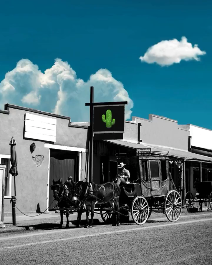 The New Money App is a more secure and trustworthy new alternative to the wild wild west of crypto.