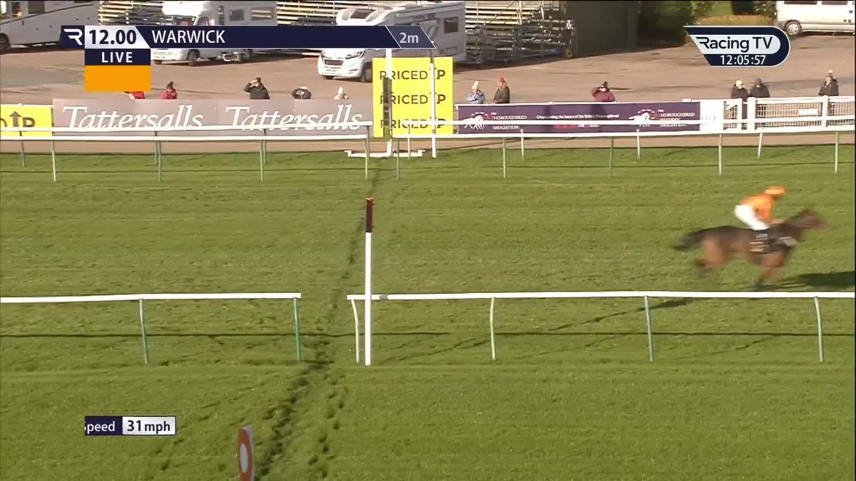 11 La Luna Artista remains unbeaten Warwick Racecourse ✅