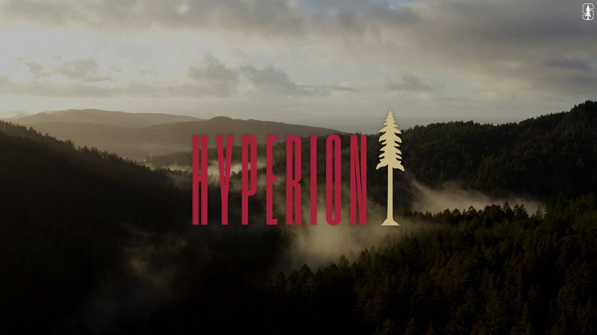 For 49 straight years, we've hoisted at least one NCAA trophy. And now... history waits for year 50. Stanford is Hyperion. The tallest tree in the forest. And still... we rise. 🌲