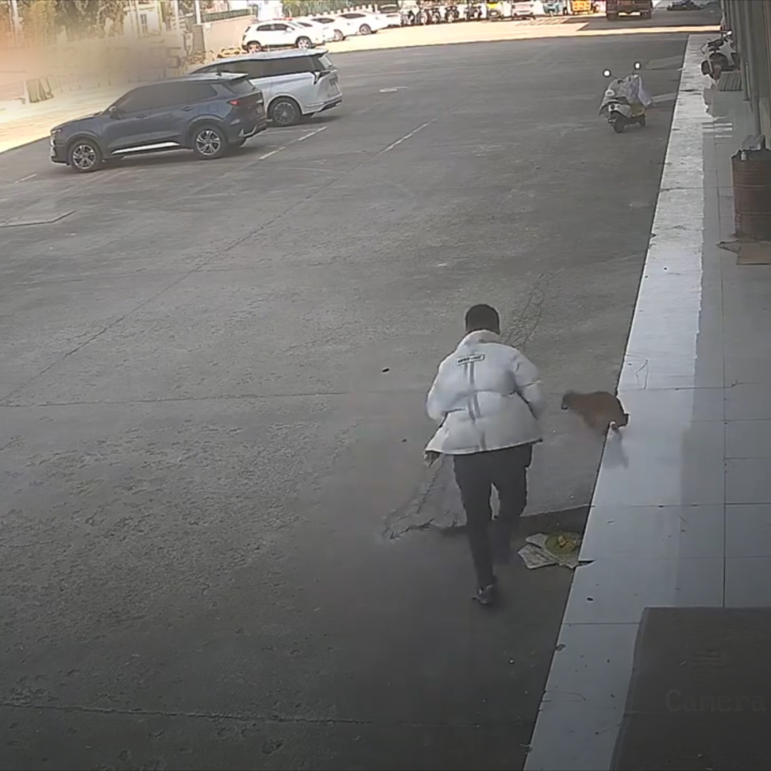 🐕 Un hombre en China intentó patear a un perro, pero el animal escapó y él terminó resbalando y cayendo al suelo. 🐾VIDEOS VIRALES