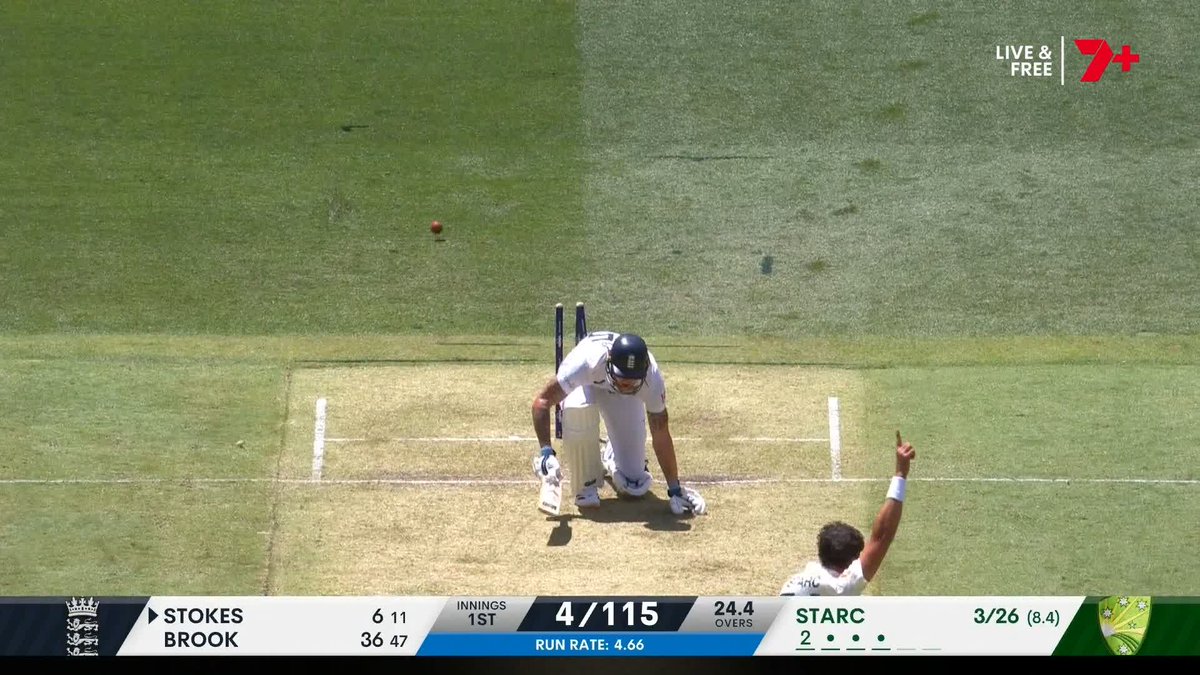 "Got him!" Starc brings Stokes to his knees 😬 #Ashes