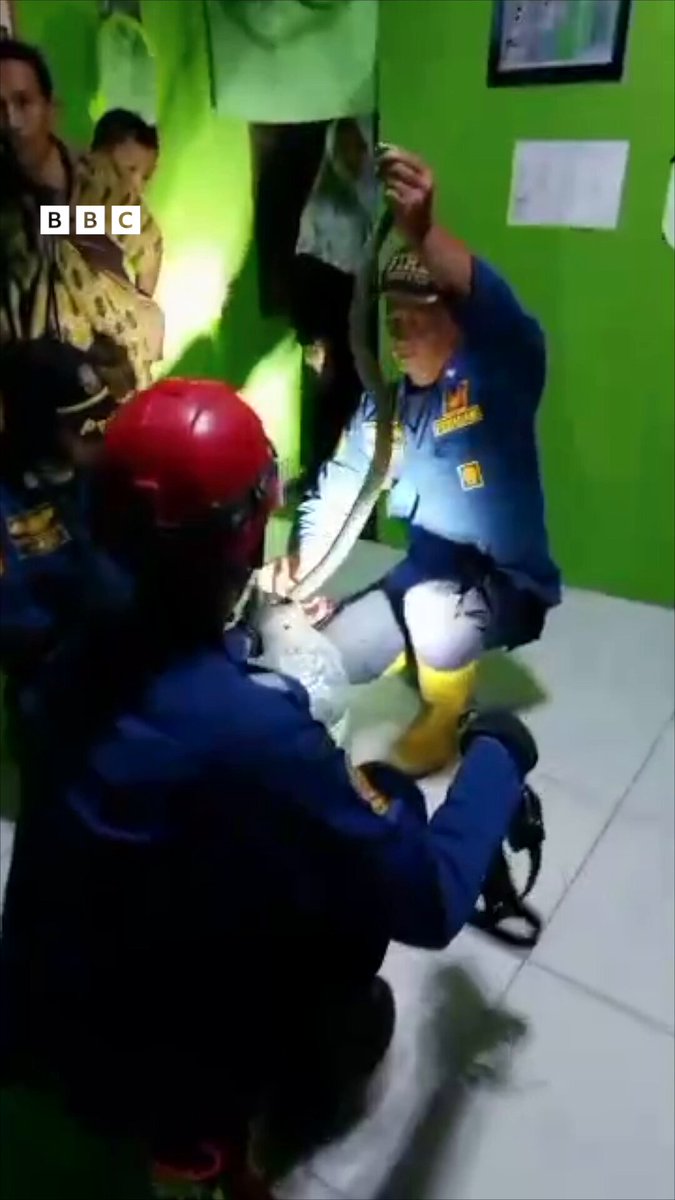 Evakuasi kucing, mengambil ponsel di selokan, dan bahkan menghibur orang yang sedang patah hati. Bahkan, damkar juga dipanggil pada kasus kriminal yang seharusnya menjadi tugas polisi. Mengapa warga lebih memilih lapor ke damkar daripada polisi?