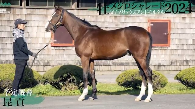 「1口1円」キャンペーン実施 メジロシャレード2024(牡.1歳) 父 #ブリックスアンドモルタル 生産 レイクヴィラファーム 厩舎 昆 貢/関西 本馬は「1口1円 4000 口」 で募集いたします ■申込受付開始予定日 11月27日(木) 18時頃 バヌーシー ▼詳細へ