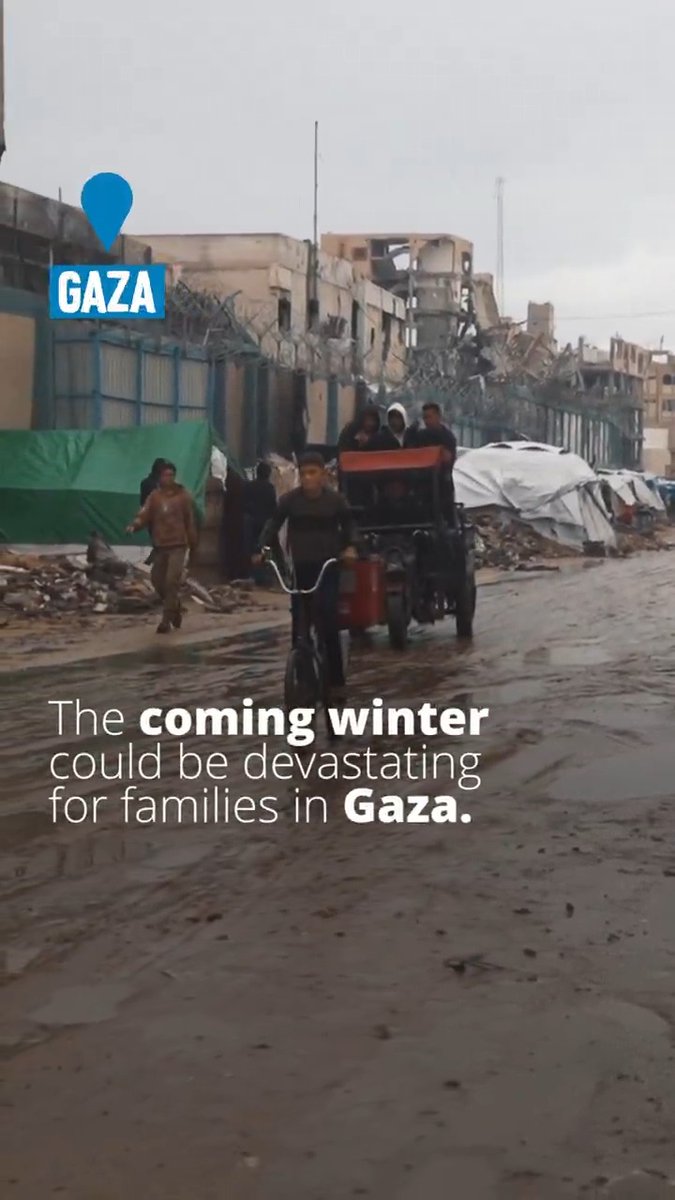 Gaza: Hundreds of thousands of people remain in urgent need of assistance. As brutal winter weather rips through tents & shelter, daily survival gets even tougher. World Food Programme food assistance must be sustained & scaled up to support desperate families.