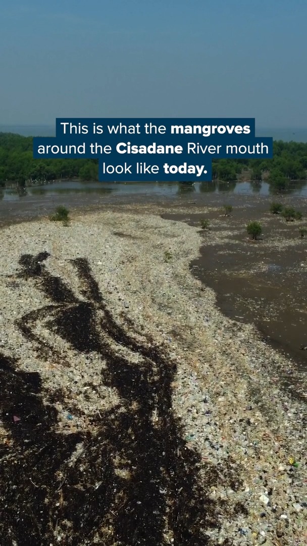Together with local partners, we are combining river interception and coastal sweeps to restore the mangrove ecosystem in Cisadane - while preventing more damage.