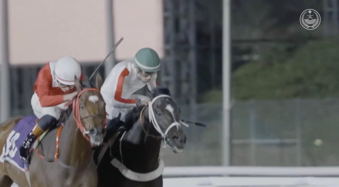 في شوط وزارة الداخلية لسباق الخيل .. تتويج الجواد (سلفان) بالمركز الأول.